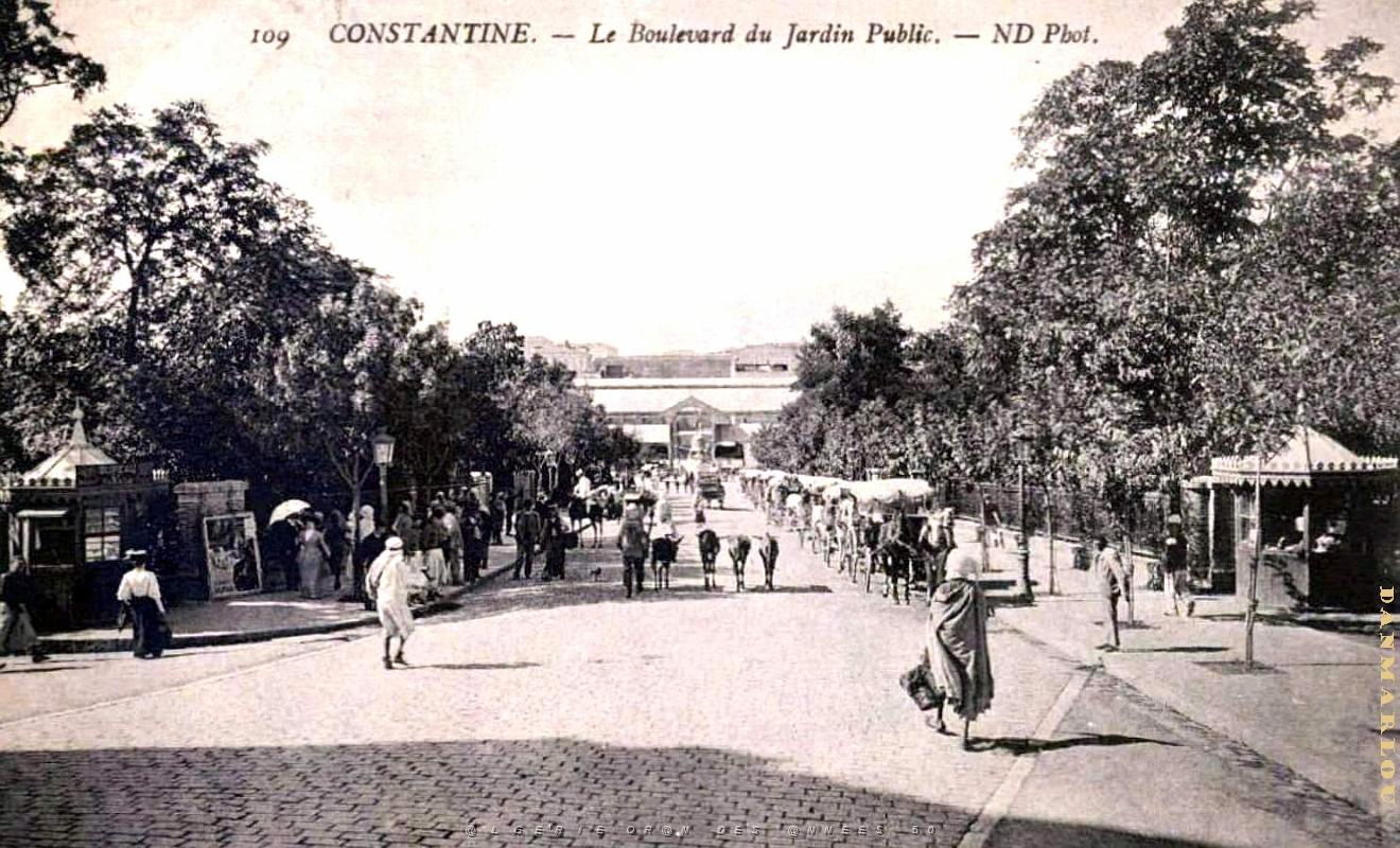 Constantine - Boulevard du Jardin public.jpg
